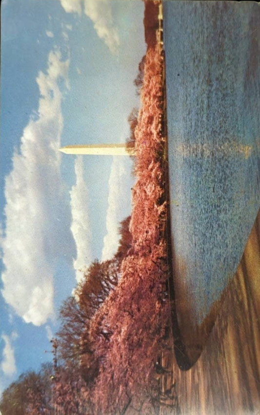 Washington Monument, Washington D.C. - Vintage 1950s Postcard