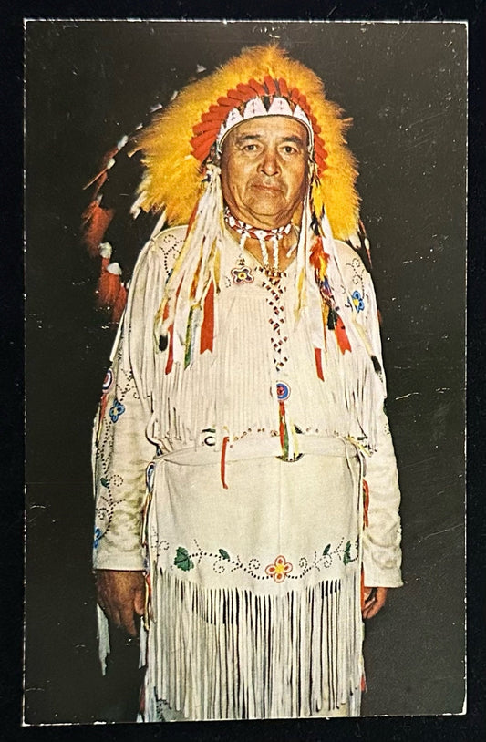 Indian Chief - Vacationland Scene - Wisconsin - Vintage 1950s Postcard