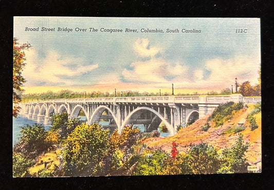 South Carolina Bridges - Broad Street Bridge over Congaree, The Cooper River Bridge, John P. Grace Bridge - Bundle of 3 Cards