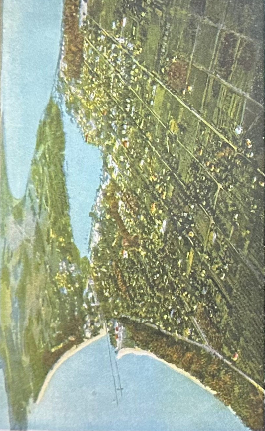 Aeroplane View of Charlevoix, Michigan - Vintage Postcard