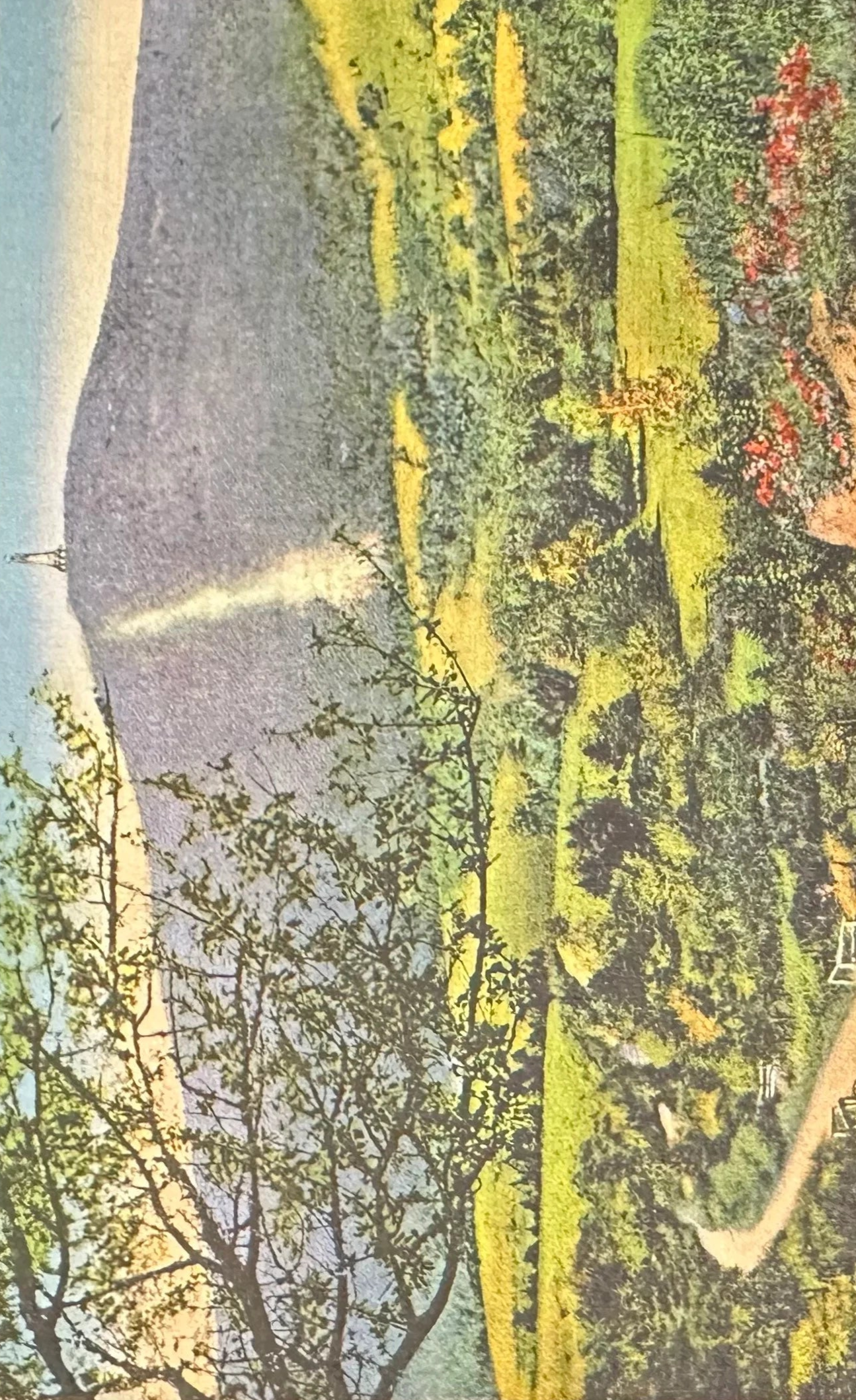 Trail to Greylock Mountain, 3,508 feet, Highest Mountain in Massachusetts - Showing Mass, State War Memorial Beacon - Linen Vintage Postcard