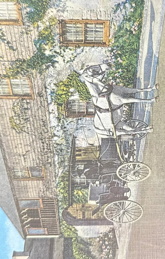 The Old Timer, St. Augustine, Florida - Linen Vintage Postcard