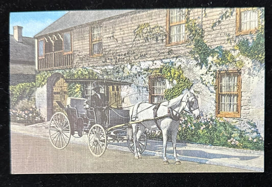 The Old Timer, St. Augustine, Florida - Linen Vintage Postcard