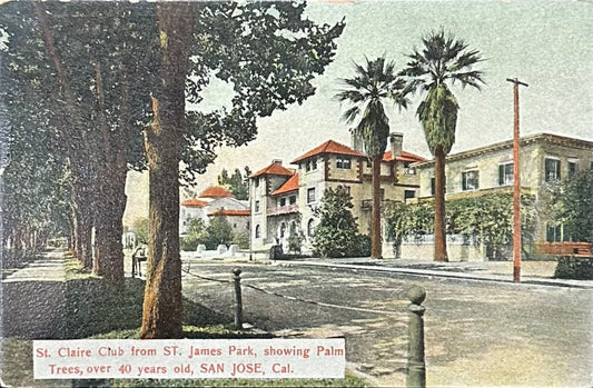 St. Claire Club from ST. James Park - Showing Palm Trees - Over 40 years old - SAN JOSE, Cal. - Vintage Postcard