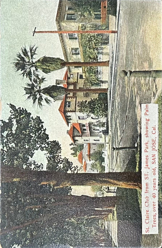 St. Claire Club from ST. James Park - Showing Palm Trees - Over 40 years old - SAN JOSE, Cal. - Vintage Postcard