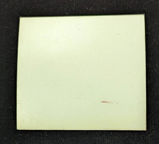 Black and White Photo of a Boy Riding a Grizzly Bear - RARE One of a Kind Photo