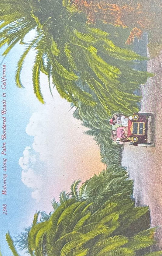 Motoring along Palm Boarded Roads in California - Vintage Edward H. Mitchell Postcard
