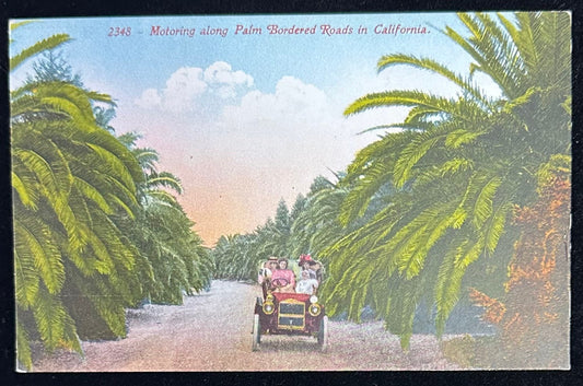Motoring along Palm Boarded Roads in California - Vintage Edward H. Mitchell Postcard