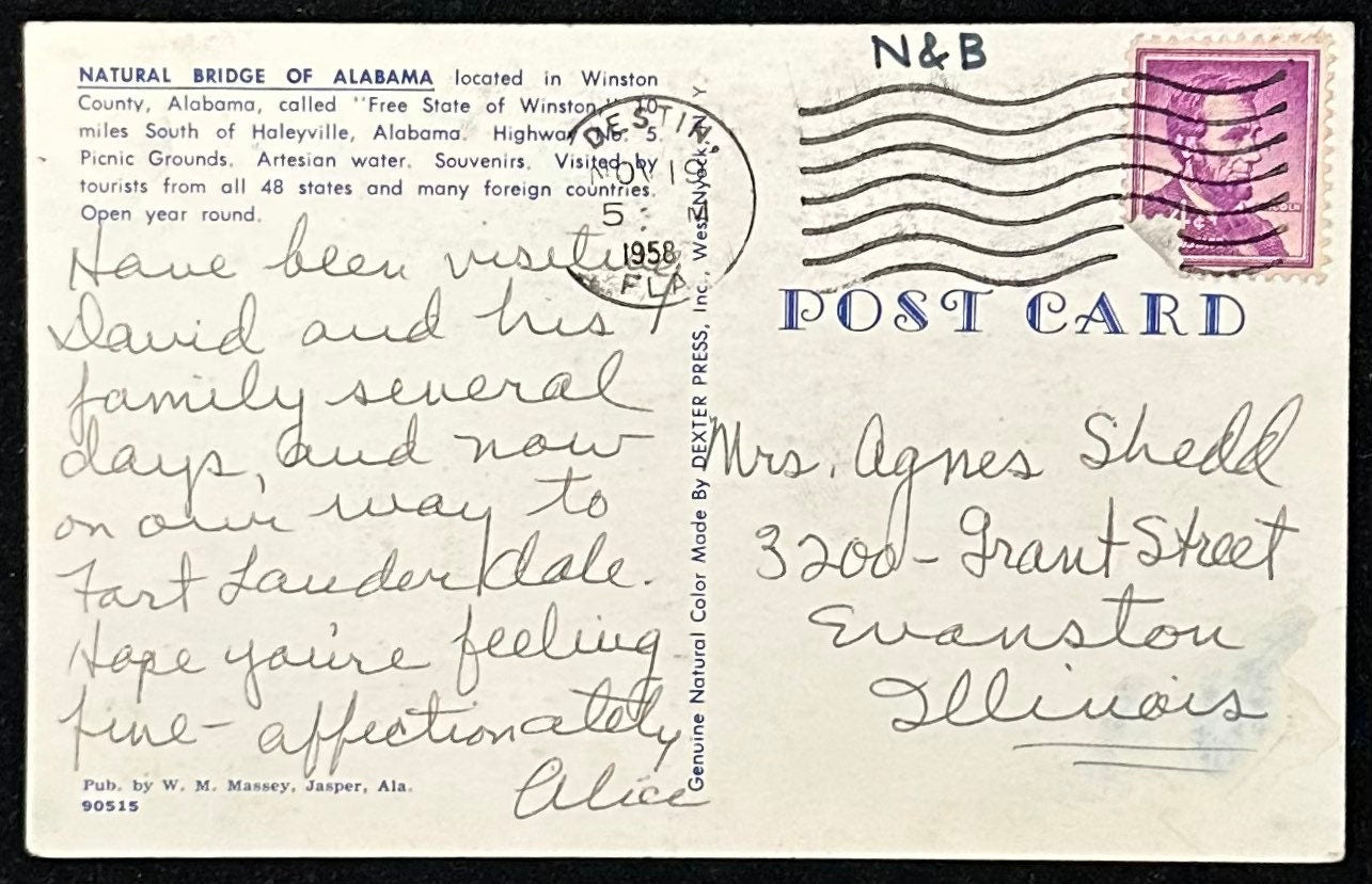 Natural Bridge of Alabama - Vintage Postcard