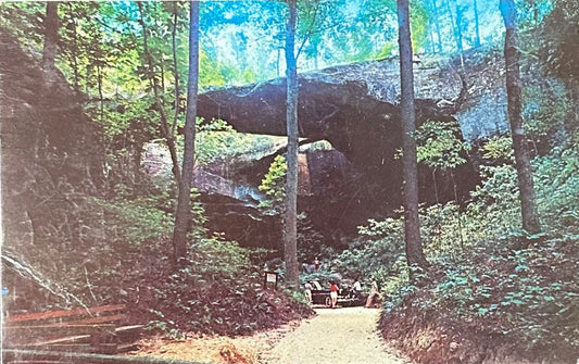 Natural Bridge of Alabama - Vintage Postcard