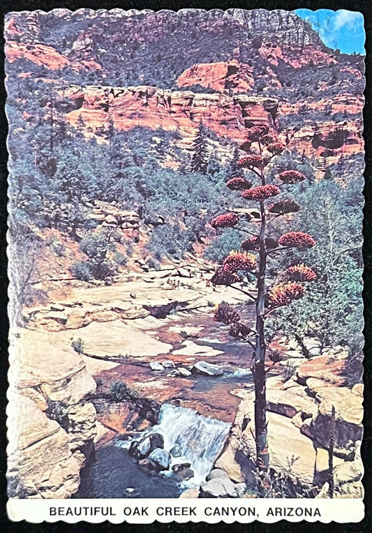 Beautiful Oak Creek Canyon, Arizona - Vintage Postcard