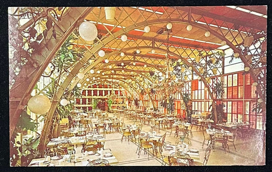 The Kapok Tree Inn - Clearwater, Florida - Vintage Postcard
