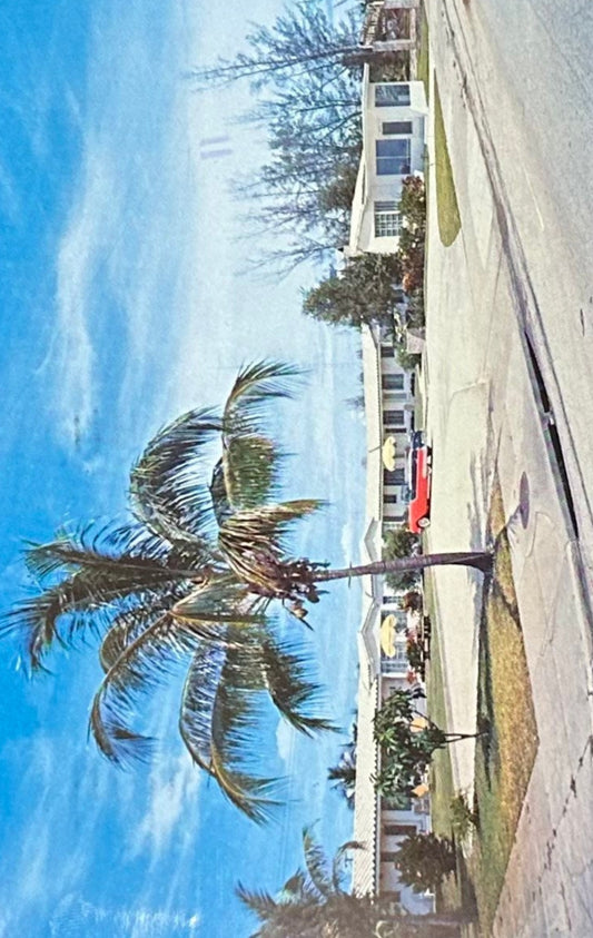 Whitehouse Motor Lodge - Boca Raton, Florida - Vintage Postcard