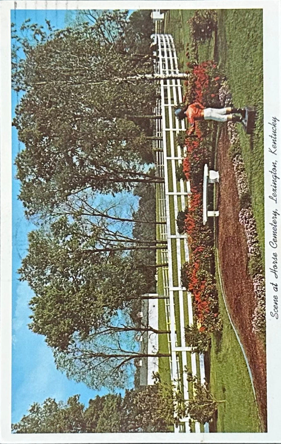 Scene at Horse Cemetery - Lexington, Kentucky - 1970s Postcard