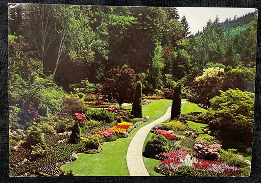 The Sunken Garden - The Butchart Gardens - Victoria, British Colombia, Canada - Clifford A. Fenner Photo - 1984 Postcard