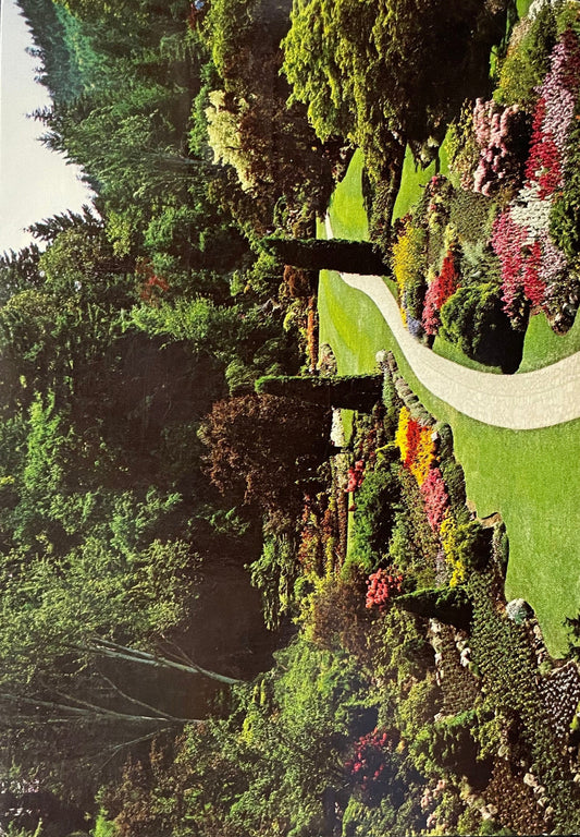 The Sunken Garden - The Butchart Gardens - Victoria, British Colombia, Canada - Clifford A. Fenner Photo - 1984 Postcard