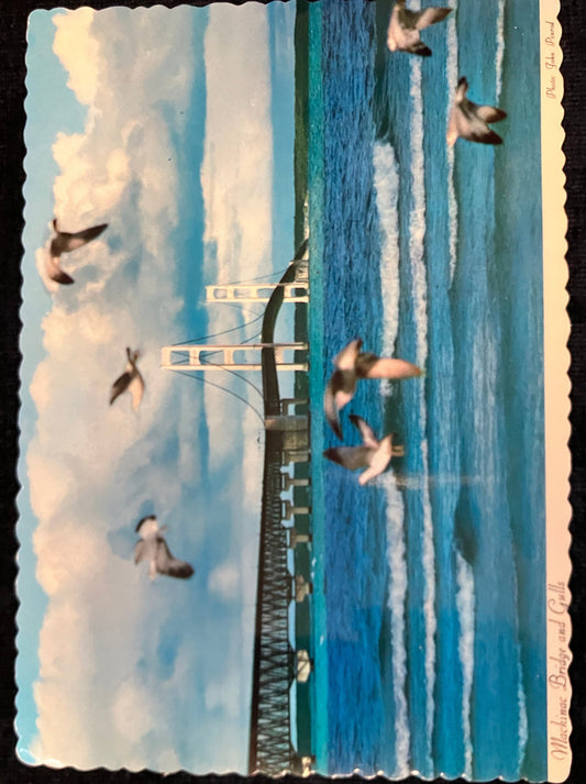 Mackinac Bridge and Gulls - Vintage Postcard