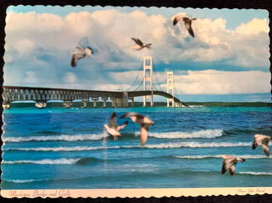 Mackinac Bridge and Gulls - Vintage Postcard