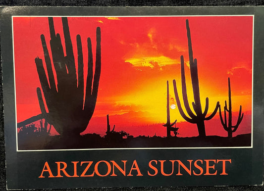 Arizona Sunset - Vintage Postcard
