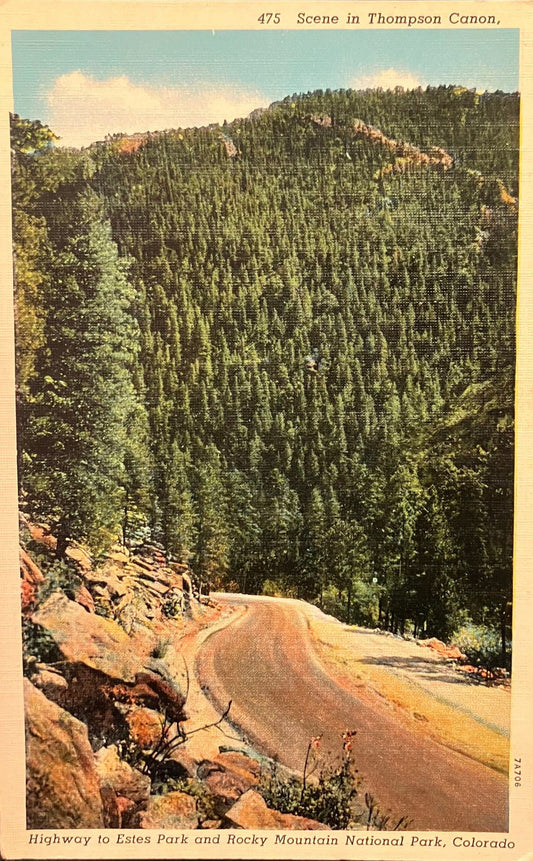 Scene in Thompson Canon - Highway to Estes Park and Rocky Mountain National Park, Colorado - Vintage Postcard