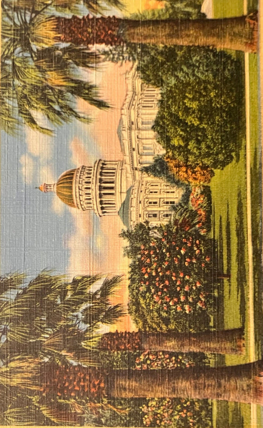 State Capitol and Grounds, Sacramento, California - Vintage Postcard