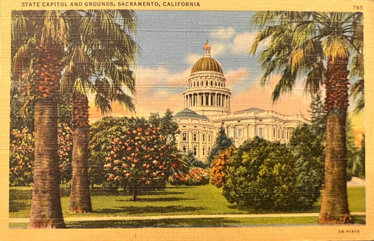 State Capitol and Grounds, Sacramento, California - Vintage Postcard