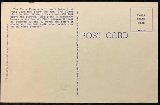 Tonto Plateau - Grand Canyon - Arizona - 1940s Linen Postcard
