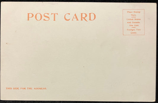 The Petrified Forest - Near Adamana, Arizona -  Copyright, 1899, by Detroit Photographic Co. - Vinta