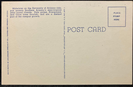 Liberal Arts and Humanities Buildings - University of Arizona, Tucson - 1940s Linen - University Pos