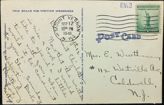 Whilestone Bridge, New York City - Vintage Postcard