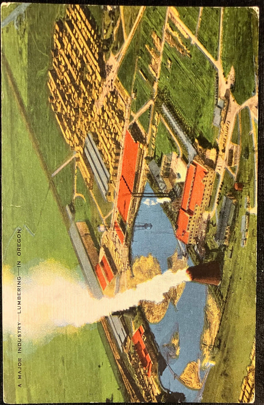 A Major Industry - Lumbering - In Oregon - Vintage Postcard