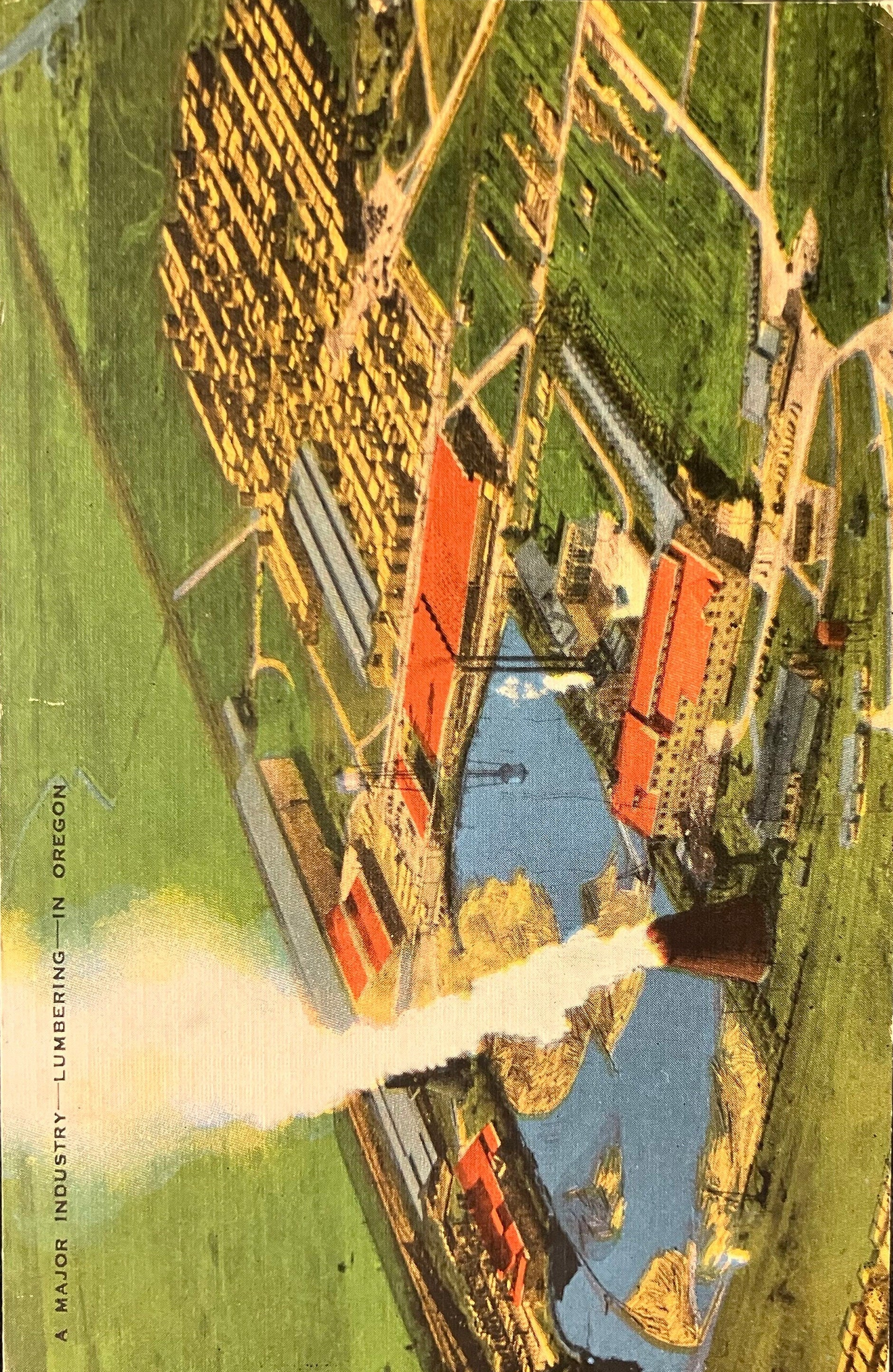 A Major Industry - Lumbering - In Oregon - Vintage Postcard