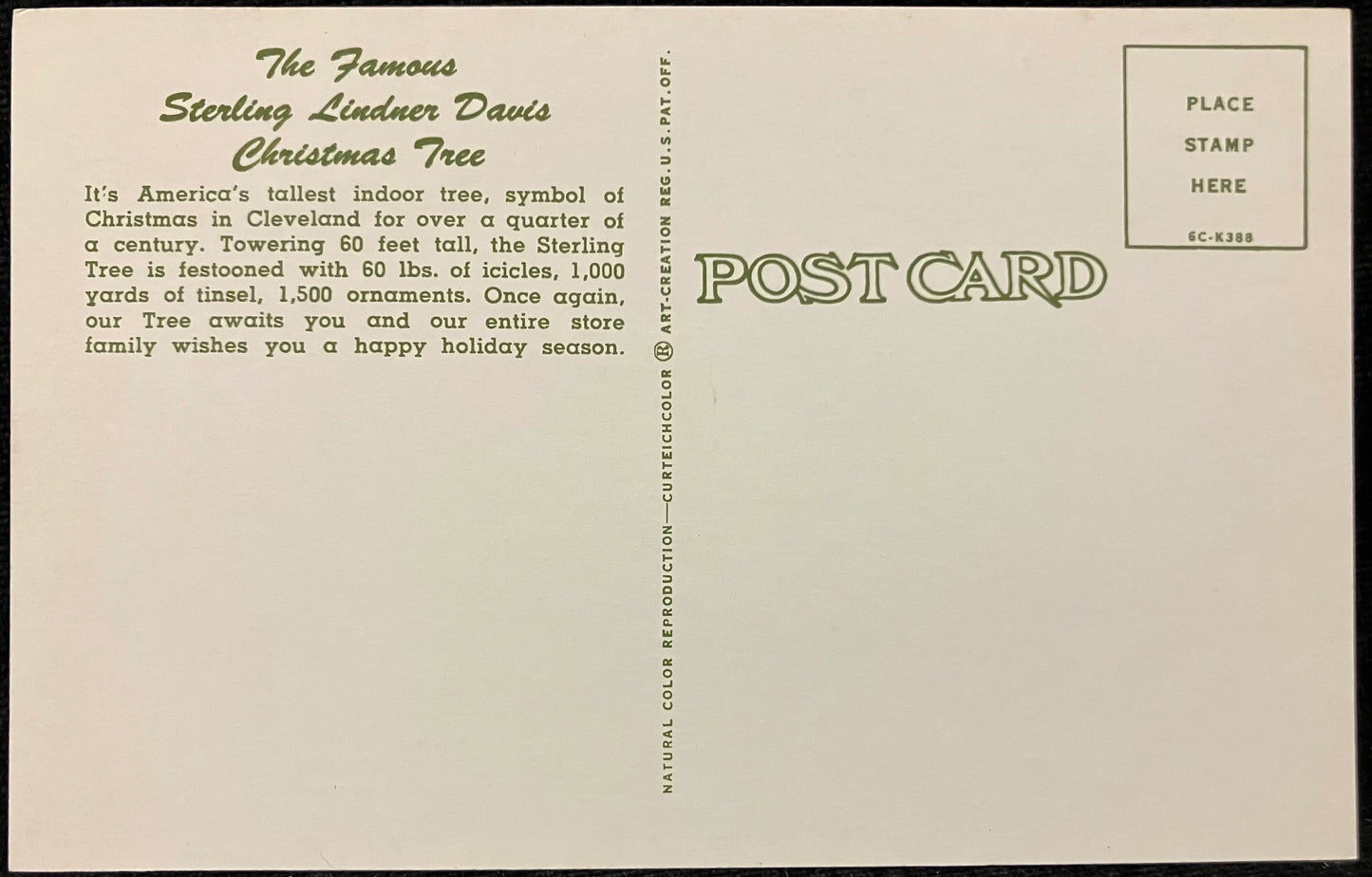 The Traditional Sterling Tree, Cleveland, Ohio - Vintage Postcard