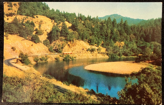 Eel River - Redwood Highway, California - Vintage Postcard