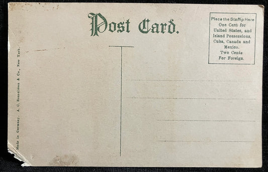 Seminary Gurley & Russell Sage Hall, Troy, New York - Made in Germany - Vintage Postcard