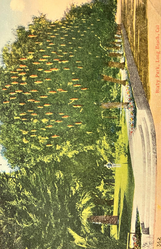 Bixby Park - Long Beach, Cal - Vintage Postcard