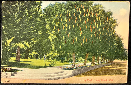 Bixby Park - Long Beach, Cal - Vintage Postcard
