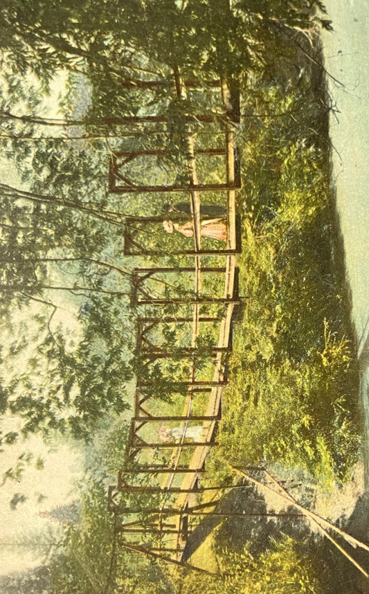 The Swinging Bridge, Santa Cruz, California - Vintage Postcard