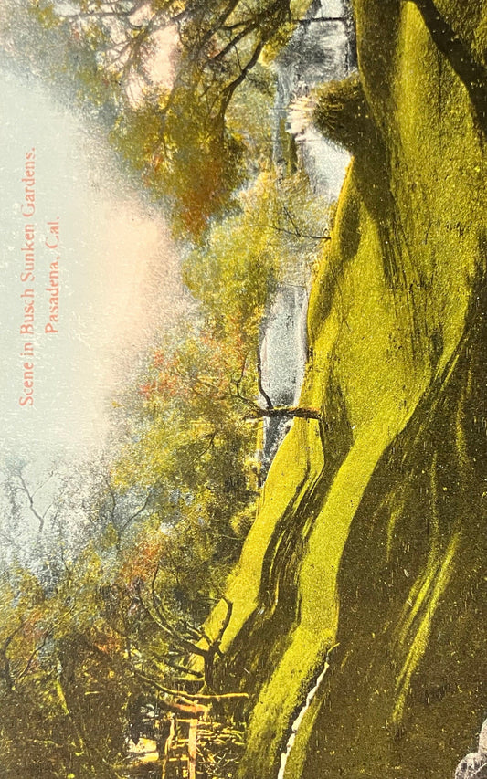Scene in Busch Sunken Gardens - Pasadena, Cal. - Vintage Postcard