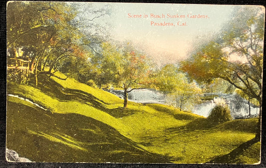 Scene in Busch Sunken Gardens - Pasadena, Cal. - Vintage Postcard