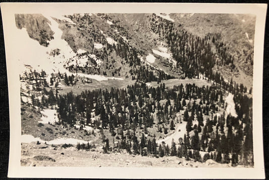 RPPC Black and White Landscape - Vintage Postcard