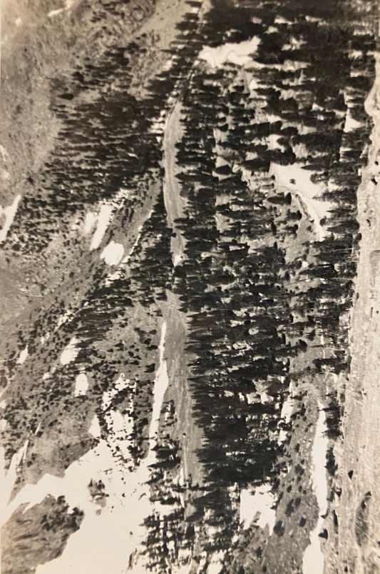 RPPC Black and White Landscape - Vintage Postcard