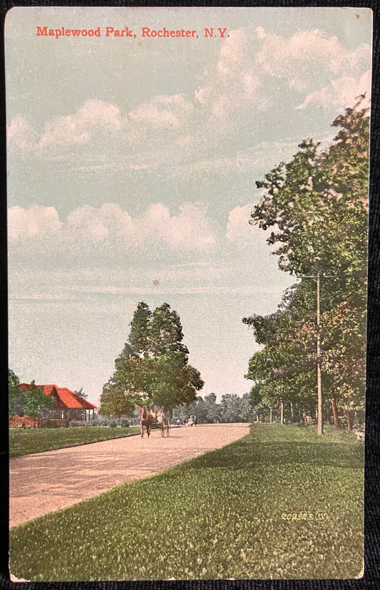 Maplewood Park, Rochester, New York - Printed in Great Britain - Vintage Postcard