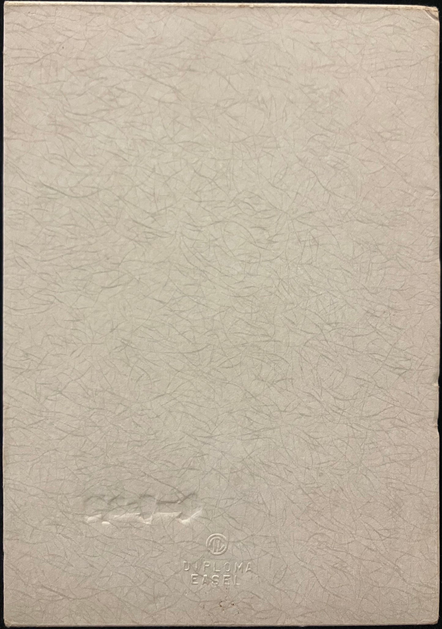 Real Photo of Dapper Young Man’s Graduation Diploma - Davis - Massillon - Vintage Photo - Embossed Card Frame