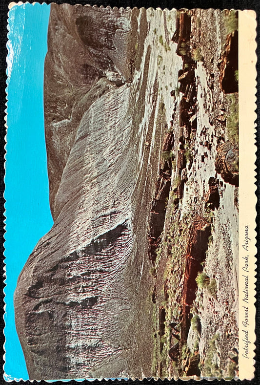 Petrified Forest National Park, Arizona - Vintage Postcard