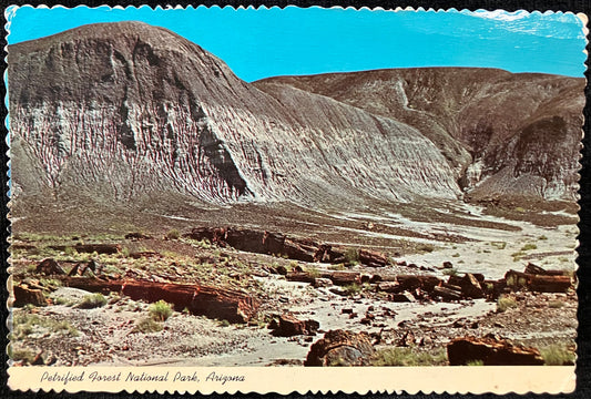 Petrified Forest National Park, Arizona - Vintage Postcard