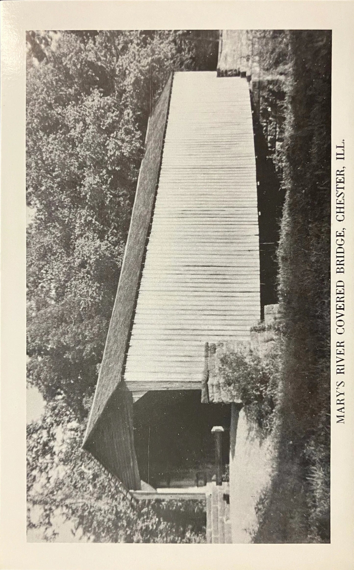 Mary’s River Covered Bridge - Chester, Ill. - Vintage Postcard