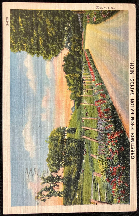 Greetings from Eaton Rapids, Michigan - C. T. & Co. - Vintage Postcard