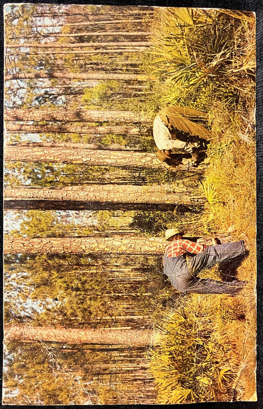 Pearson, Georgia - Color: Colorama - Vintage Hotel Postcard