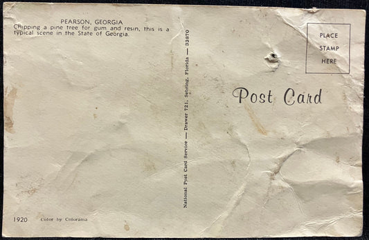 On front: A photo of trees in Pearson, Georgia On back: Chipping pine tree for gum and resin, a clas